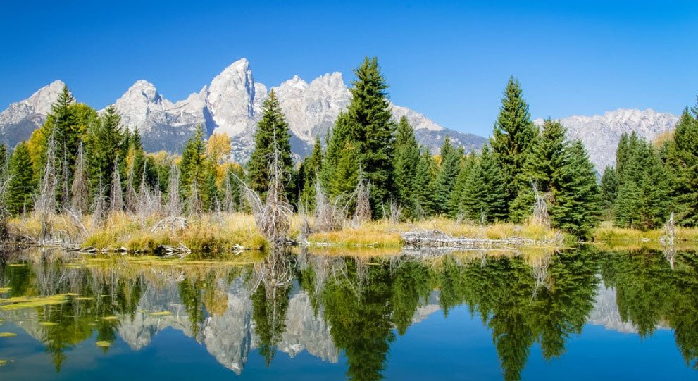 Grand Teton National Park, Wyoming, USA